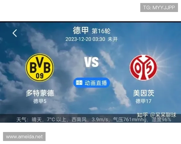 德甲转会决策分析：俱乐部引援策略与竞技表现关联性探讨