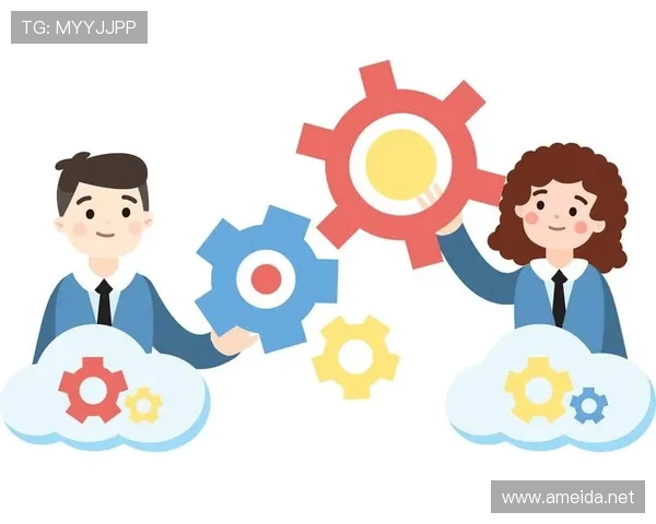 Son 的职业精神与自律