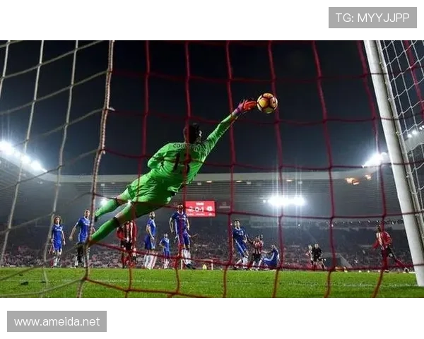 库尔图瓦：2018世界杯金手套得主与比利时黄金一代支柱解析